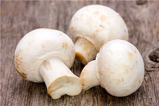 洋蘑菇,木质背景