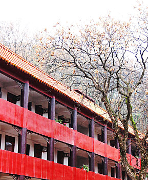 广西全州千年古刹湘山寺,古寺古树风雨相伴