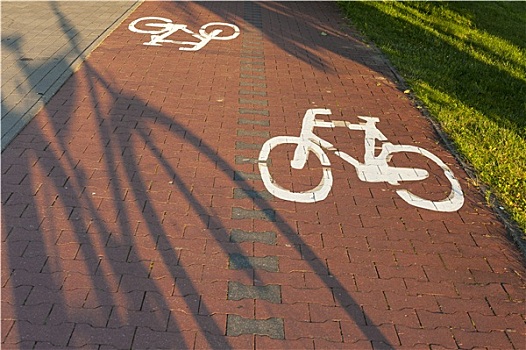 影子,自行车,骑自行车,小路