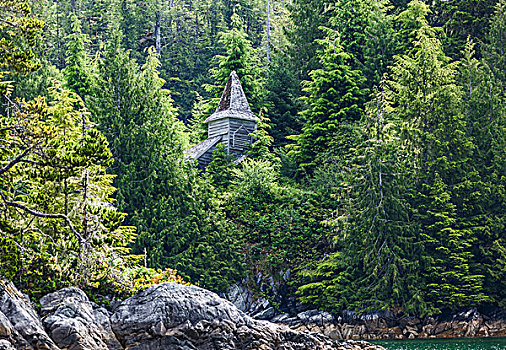 木,教堂,围绕,自然,小湾,西部,海岸,温哥华岛,不列颠哥伦比亚省,加拿大