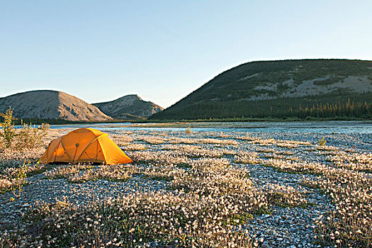 探险,帐蓬,北极,苔原,羊胡子草,露营,风,河,后面,育空地区,加拿大