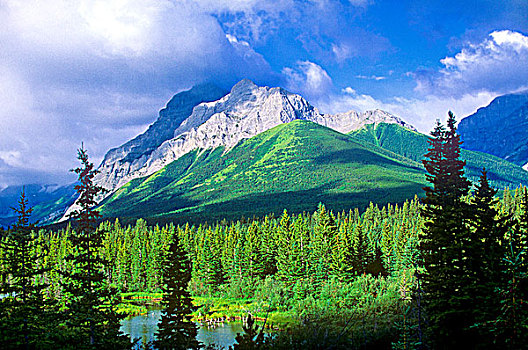 溪流,省立公园,艾伯塔省,加拿大