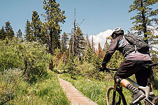 男人,骑自行车,小路,树林,曼莫斯湖,加利福尼亚,美国,北美