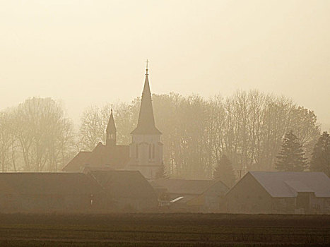 雾状,早晨,靠近,波兰