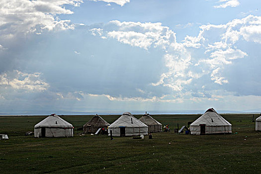 草原的蒙古包