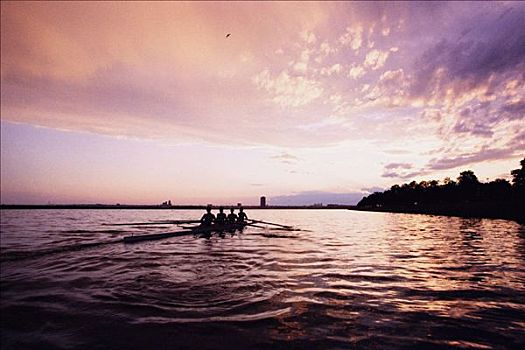 女性,桨手,日落,多伦多,安大略省,加拿大