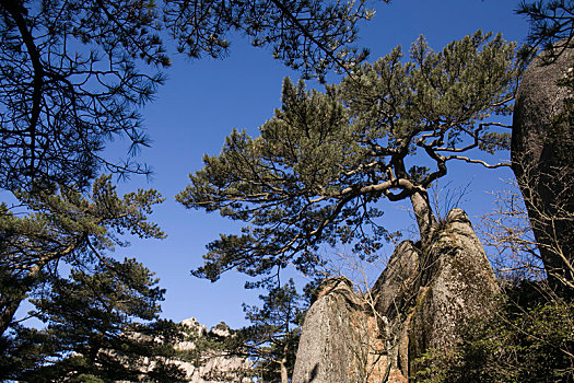 黄山风景区