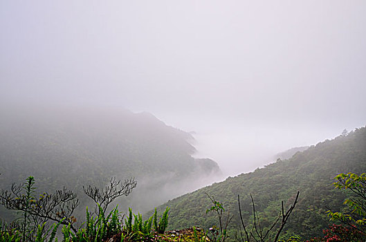 大明山