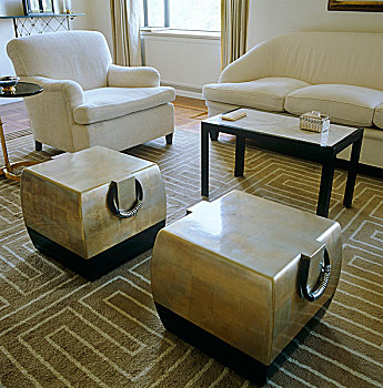 一对,凳子,形态,局部,休息区,客厅,现代,地毯,平面设计