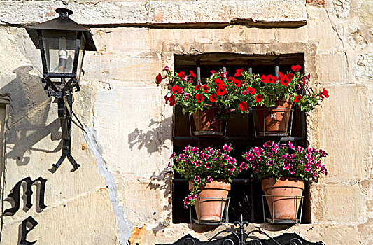 窗户,花盆,乡村,桑蒂亚纳德尔玛卢,坎塔布里亚,西班牙