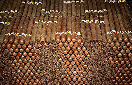 古巴,雪茄,雪茄工厂,哈瓦那