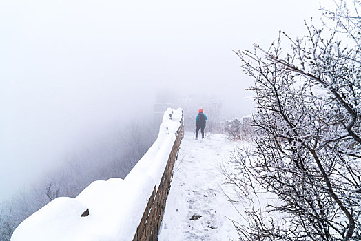 长城冰雪桃花