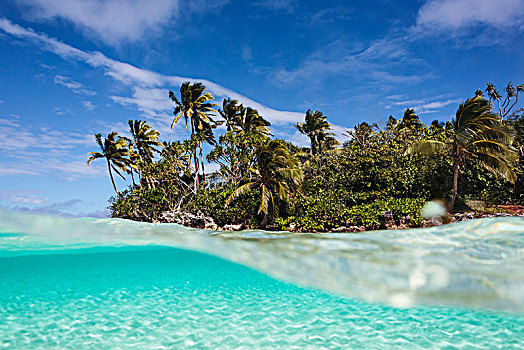 热带海岛,海滩,海洋,表面,汤加,太平洋