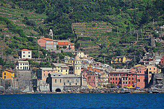 维纳扎,海洋,五渔村,意大利,风格,建筑