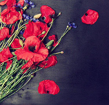 花束,盛开,红罂粟,蓝色,矢车菊