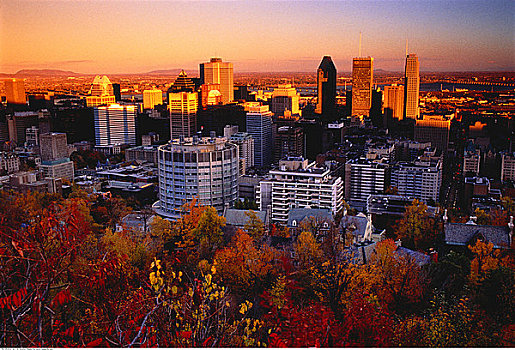 城市天际线,皇室山,日落,蒙特利尔,魁北克,加拿大