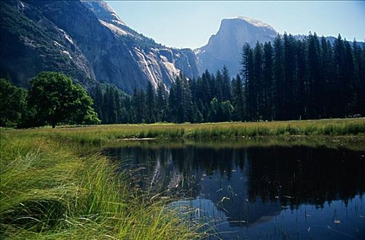 反射,山峦,水中,半圆顶,优胜美地国家公园,加利福尼亚,美国