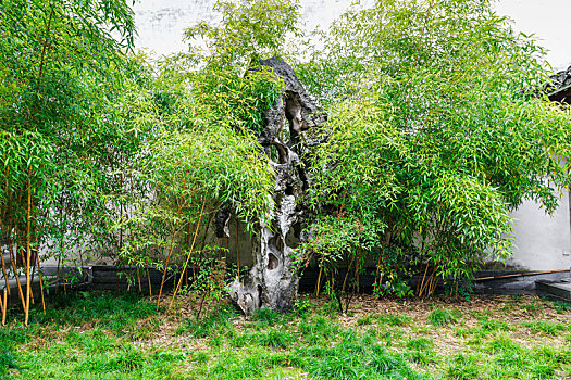 徽州府衙后花园竹林太湖石园林景观