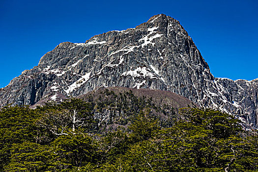 山顶,山,纳韦尔瓦皮,国家公园,阿根廷