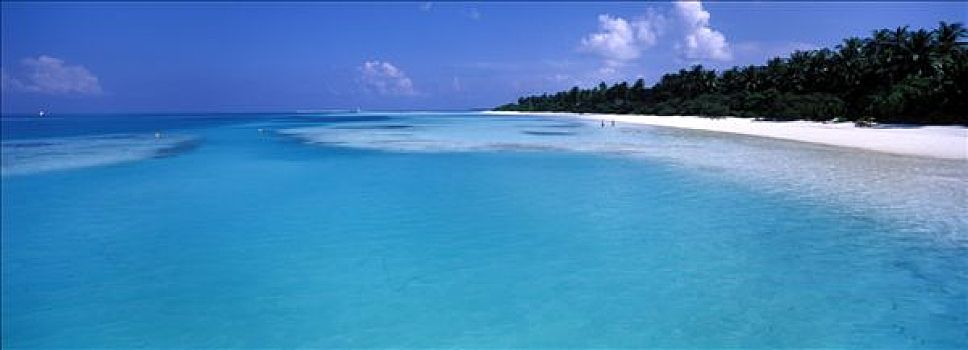 马尔代夫,环礁,漂亮,海滩,岛屿