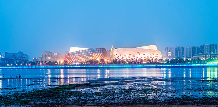 青岛,彩虹桥,夜景,湿地,公园