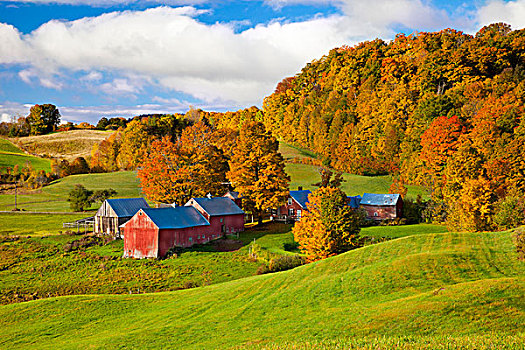 秋天,农场,靠近,南,佛蒙特州,美国