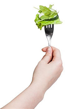 叉子,翠绿,沙拉,拿着