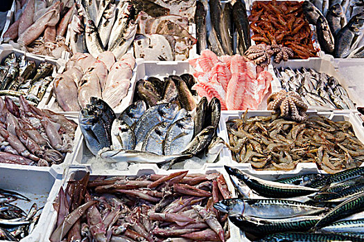 鱼肉,市场,罗马,意大利