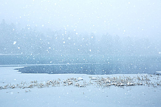 北海道,湖,雪