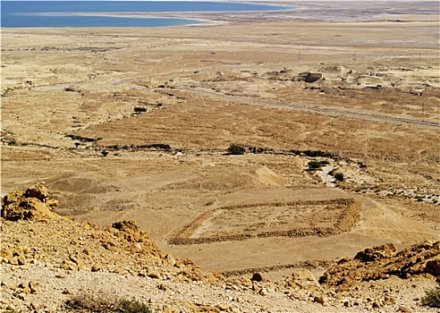 沙漠,以色列