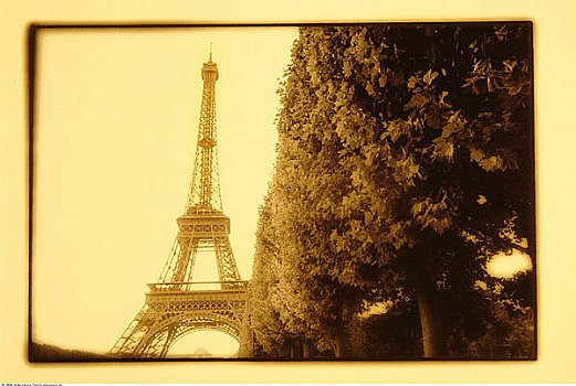 埃菲尔铁塔,树,巴黎,法国