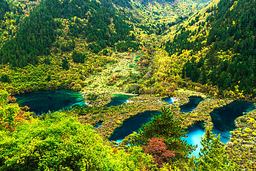 中国,四川,九寨沟