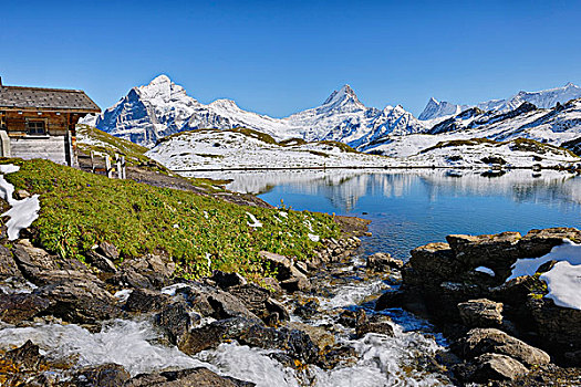 贝塔峰,修雷克宏峰,冰河,阿尔卑斯山,伯恩高地,伯恩,瑞士