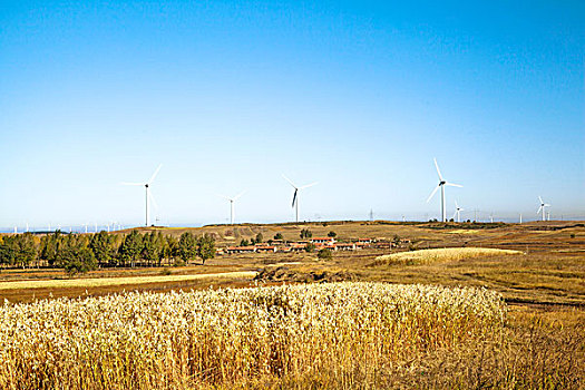 中国北方秋天山地高大成片的风力发电车
