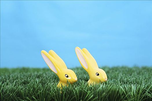 两个,黄色,复活节兔子,走,后面,槽,青草,正面,蓝天