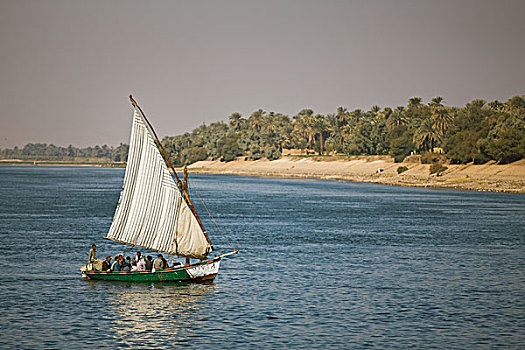 人,老,三桅帆船,航行,尼罗河,埃及