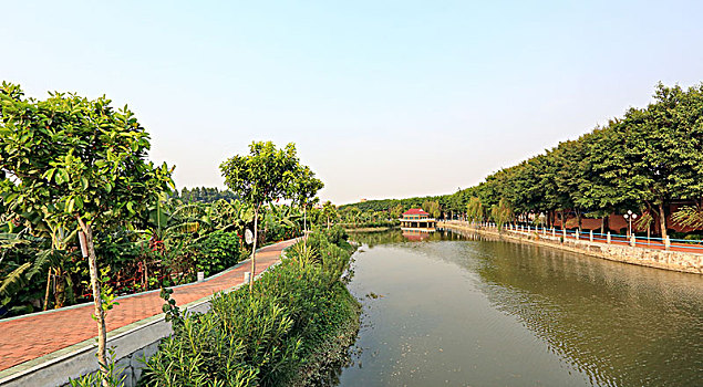 18,麻涌镇麻二村风景