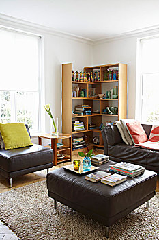 深棕色,皮革,家具,地毯,木质,角,架子,苍白,格子,窗户,舒适,客厅