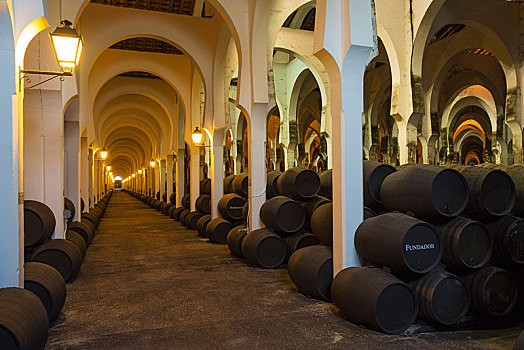 一堆,橡木桶,酒窖,葡萄酒厂,酒栈,卡迪兹,安达卢西亚,西班牙,欧洲