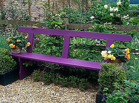 紫色,长椅,座椅,木篱,围绕,灌木
