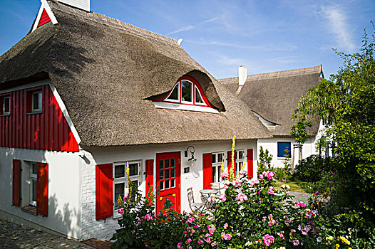 茅草屋顶,房子,红色,门,百叶窗,阿伦斯霍普,波罗的海