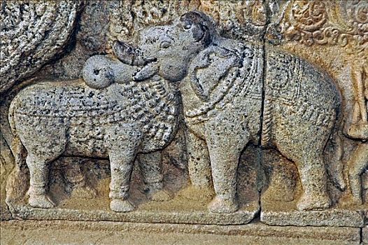雕刻,大象,雄性动物,庙宇,泰米尔纳德邦,印度