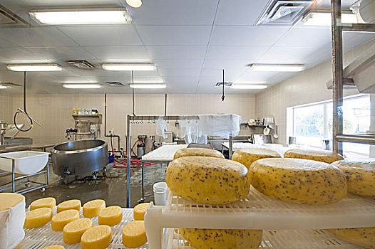 奶酪,农舍,自然,工厂,不列颠哥伦比亚省,加拿大