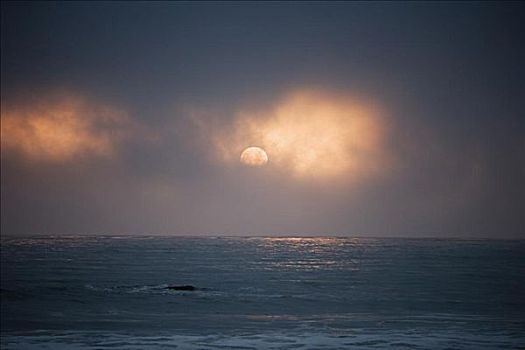 全景,太平洋,海洋