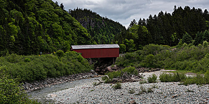 风雨桥,树,河,芬地湾国家公园,新布兰斯维克,加拿大