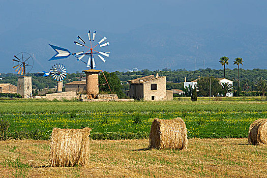 风车,靠近,马略卡岛,巴利阿里群岛,西班牙