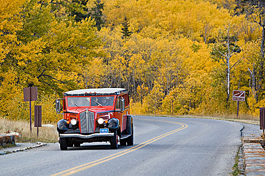 红色,巴士,桥,冰川国家公园,蒙大拿