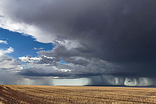 风暴,上方,农田,雅拉,湖,西澳大利亚州,澳大利亚