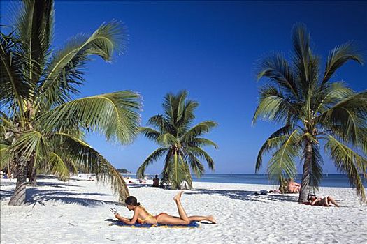 女人,读,沙滩,棕榈树,海滩,基韦斯特,钥匙,佛罗里达,美国