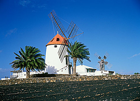 风车,棕榈树,树,梯华,兰索罗特岛,加纳利群岛,西班牙,欧洲